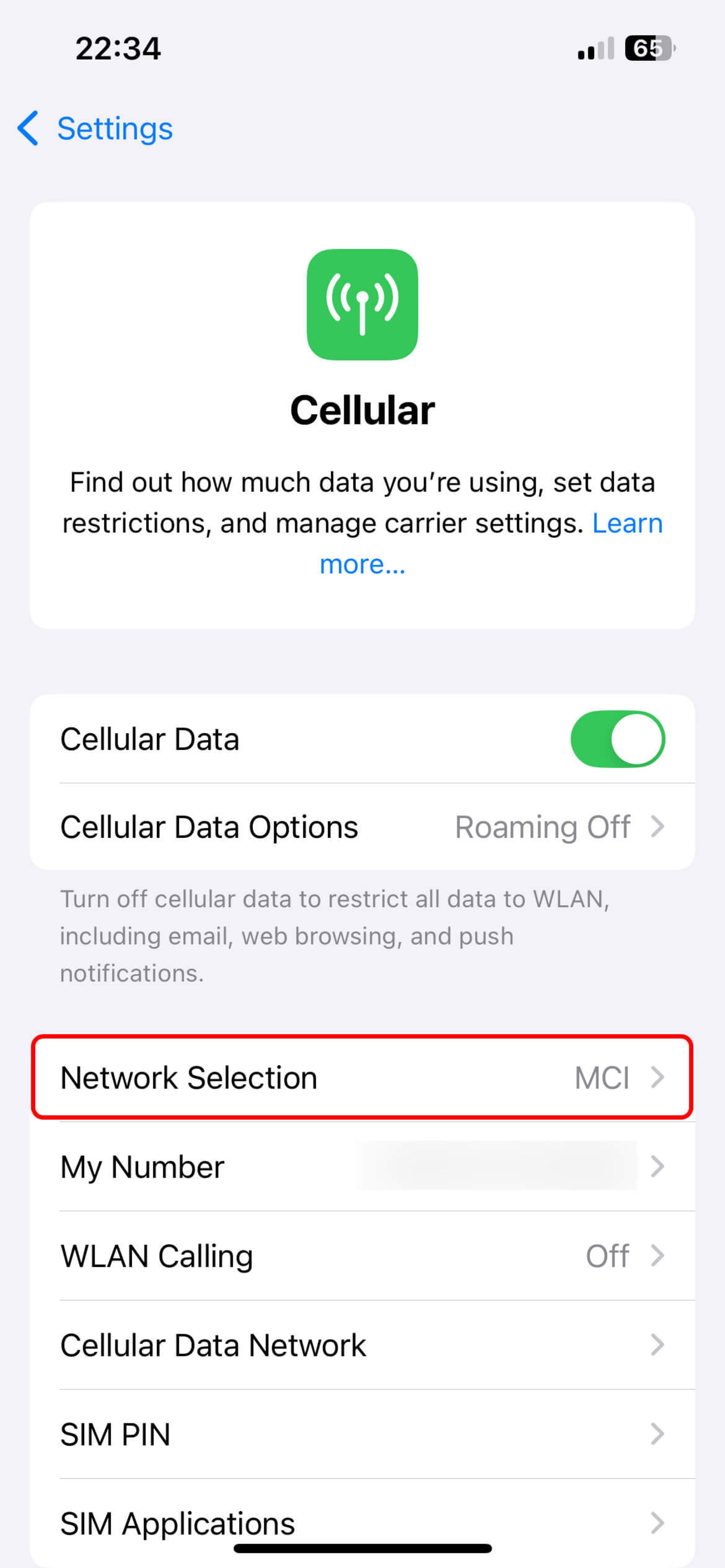 صفحه Cellular و انتخاب Network Selection