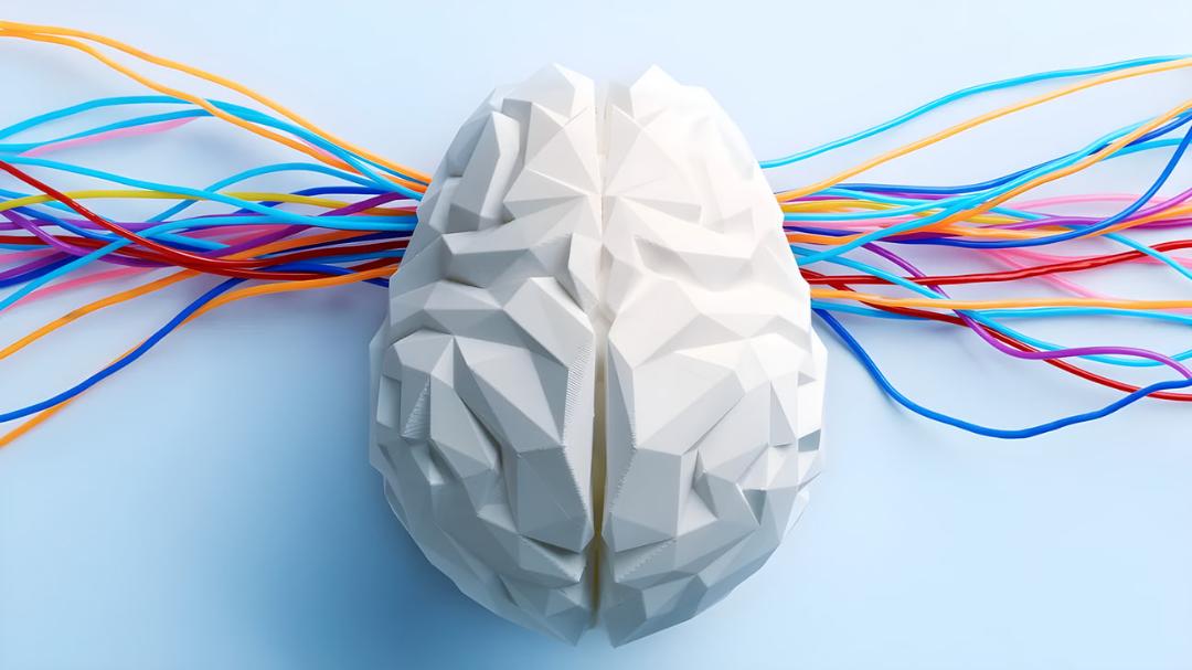 مدل هندسی مغز انسان (Brain) با سیم‌های رنگی متصل به دو طرف