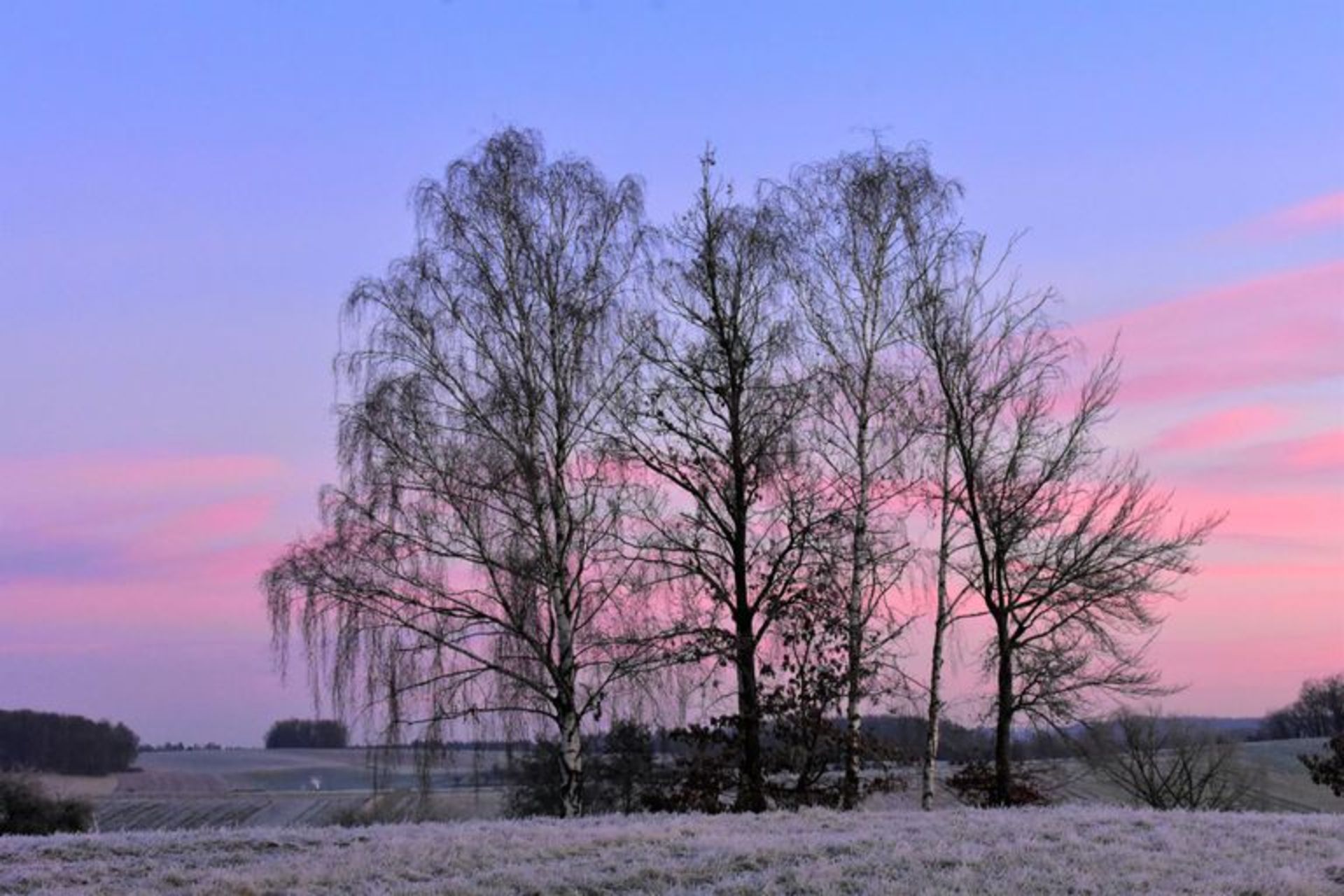 منظره برفی آلمان آسمان قرمز درختان
