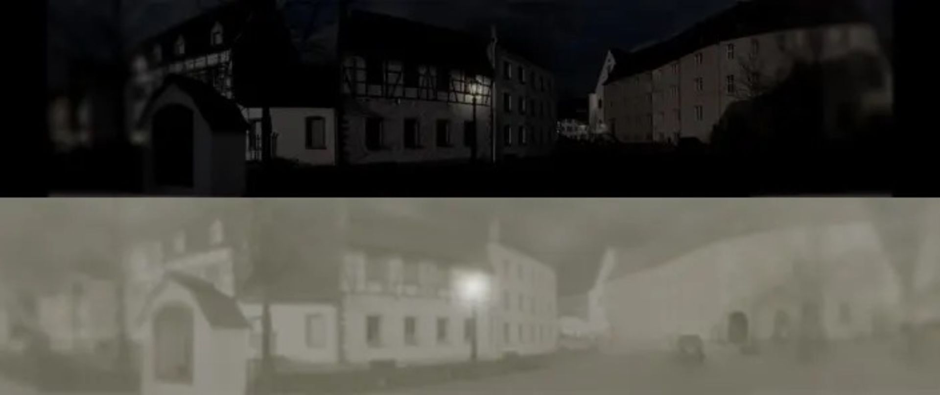 مقایسه دید در شب در گربه و انسان