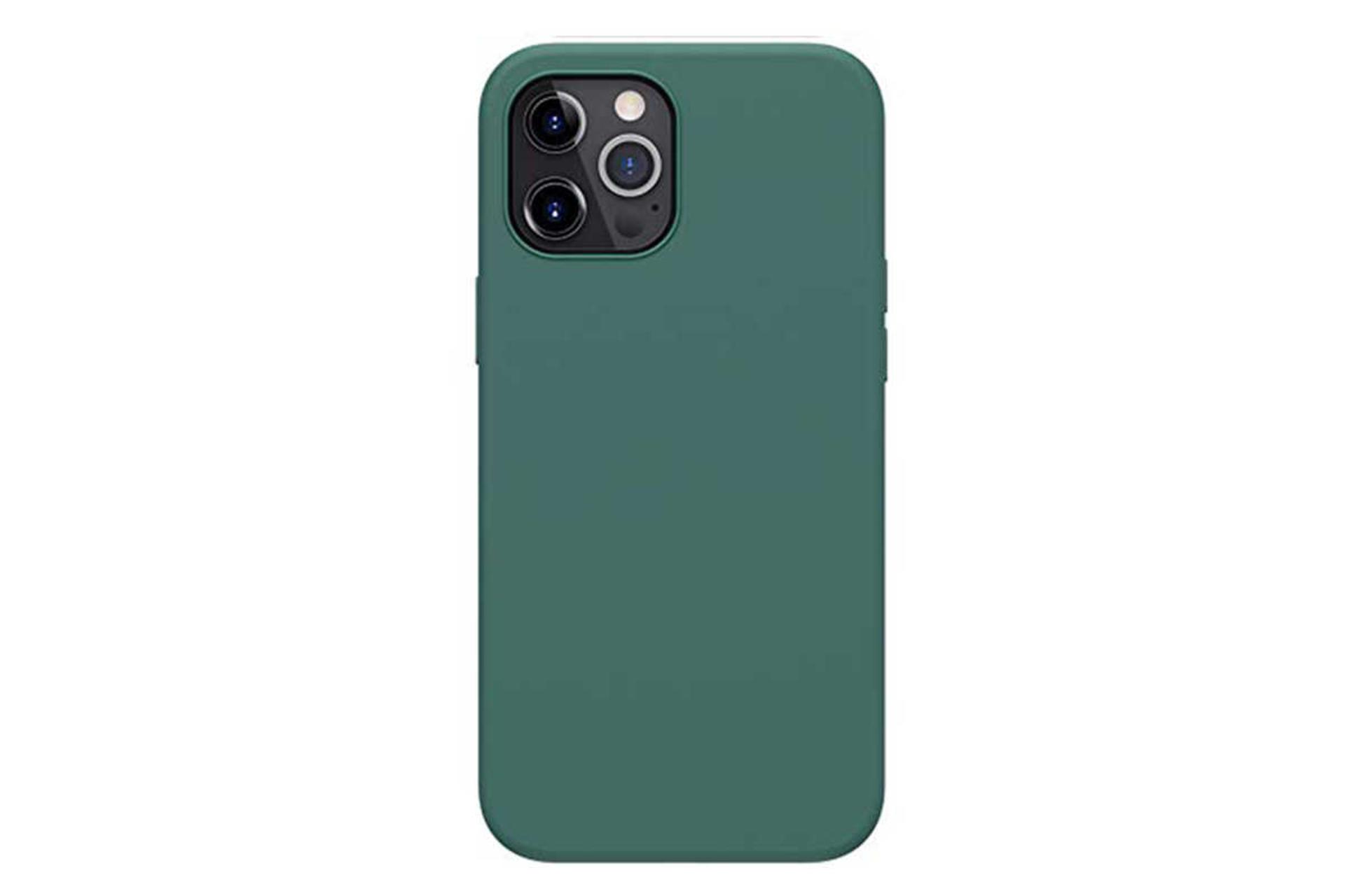نمای پشت گوشی نیلکین مدل Flex مناسب اپل iPhone 12 Pro / 12 رنگ سبز
