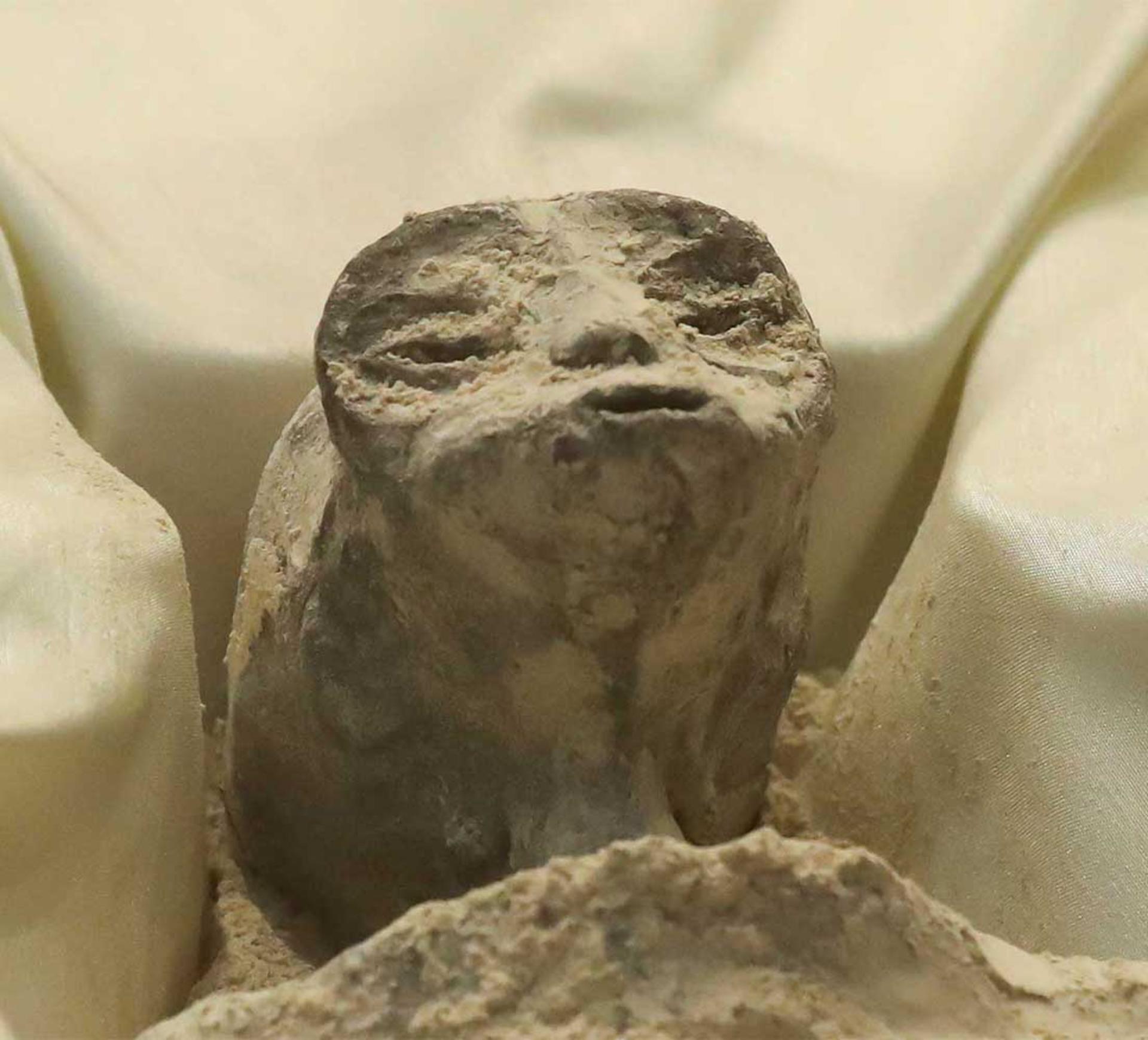 چهره موجود ظاهرا بیگانه