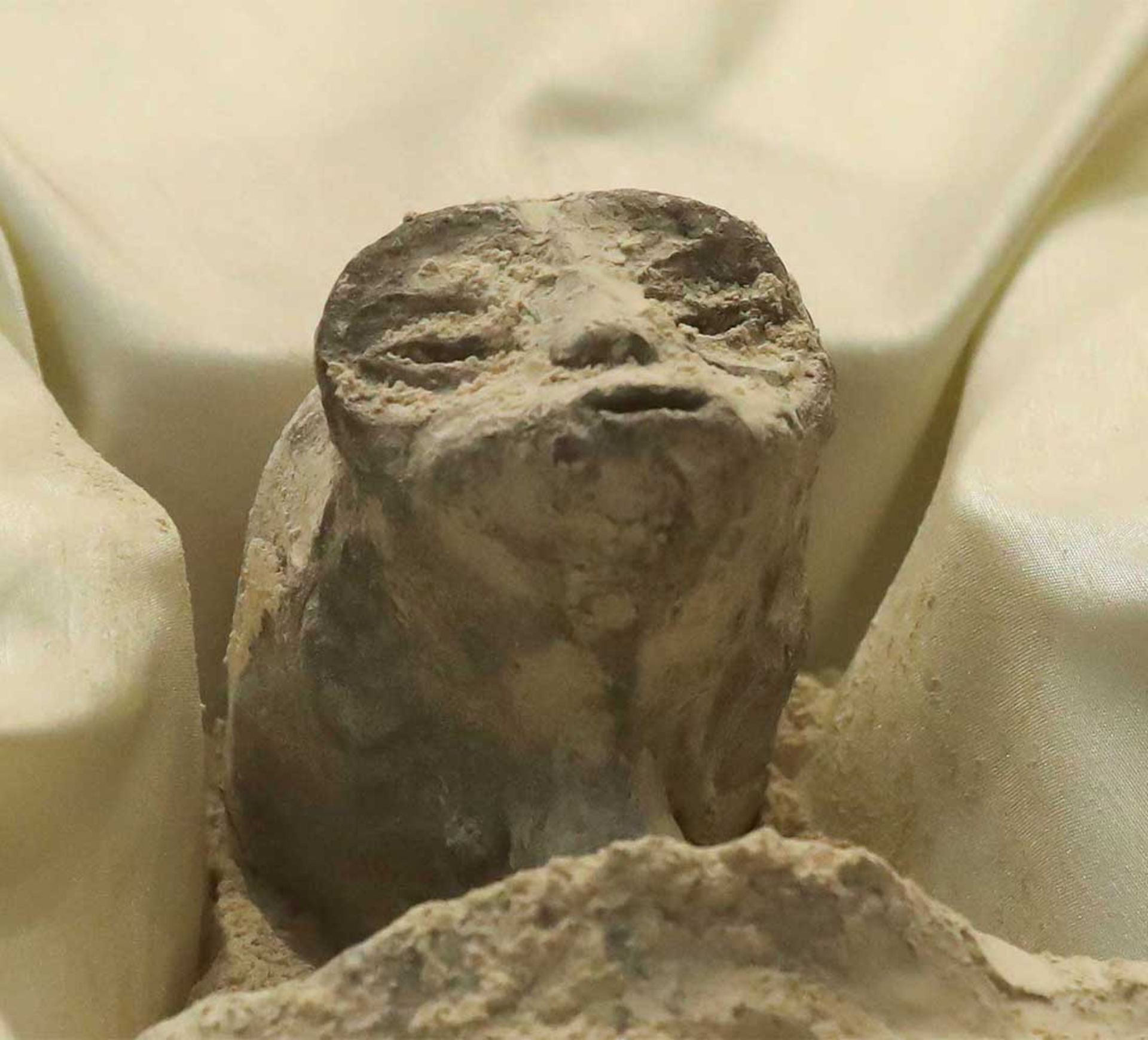 چهره موجود ظاهرا بیگانه