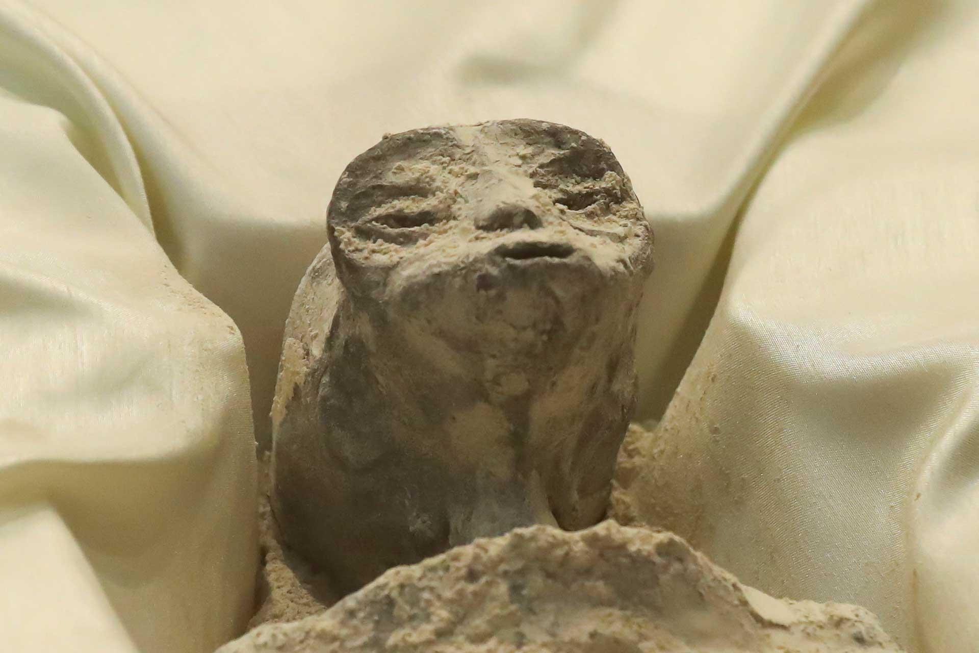نمای نزدیک از صورت موجود ظاهرا بیگانه که در کنگره مکزیک به نمایش درآمد