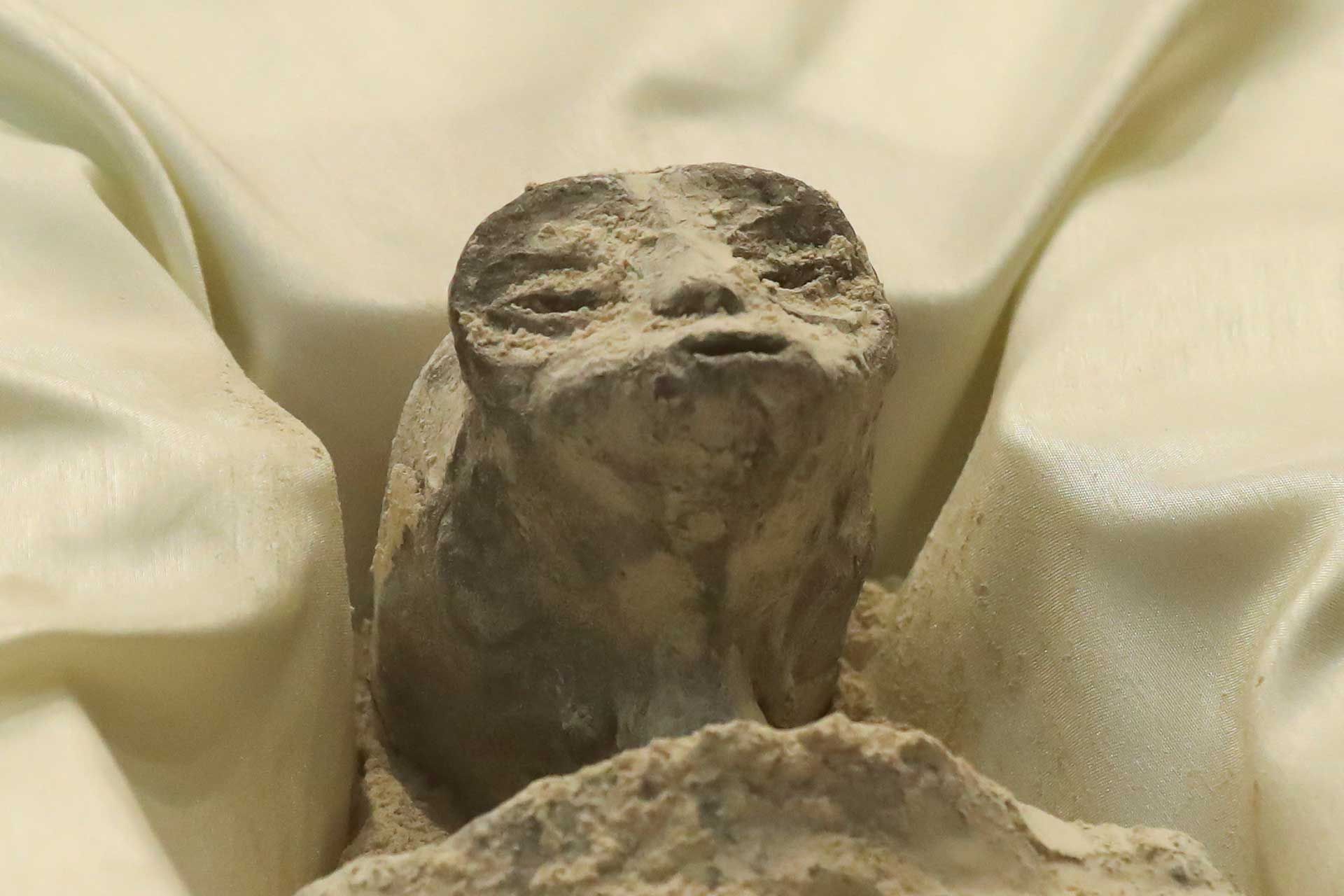 نمای نزدیک از صورت موجود ظاهرا بیگانه که در کنگره مکزیک به نمایش درآمد