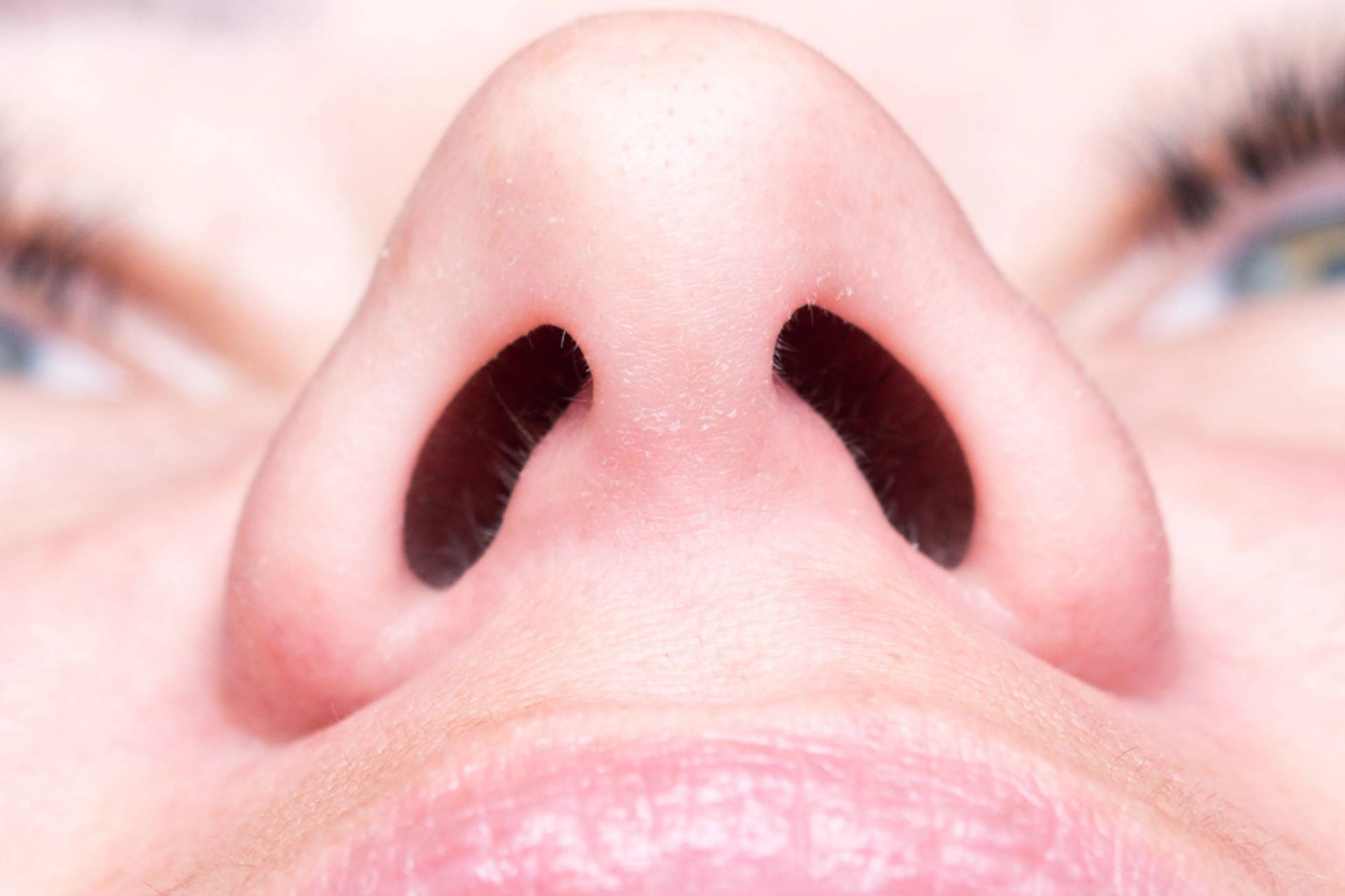 سوراخ های بینی