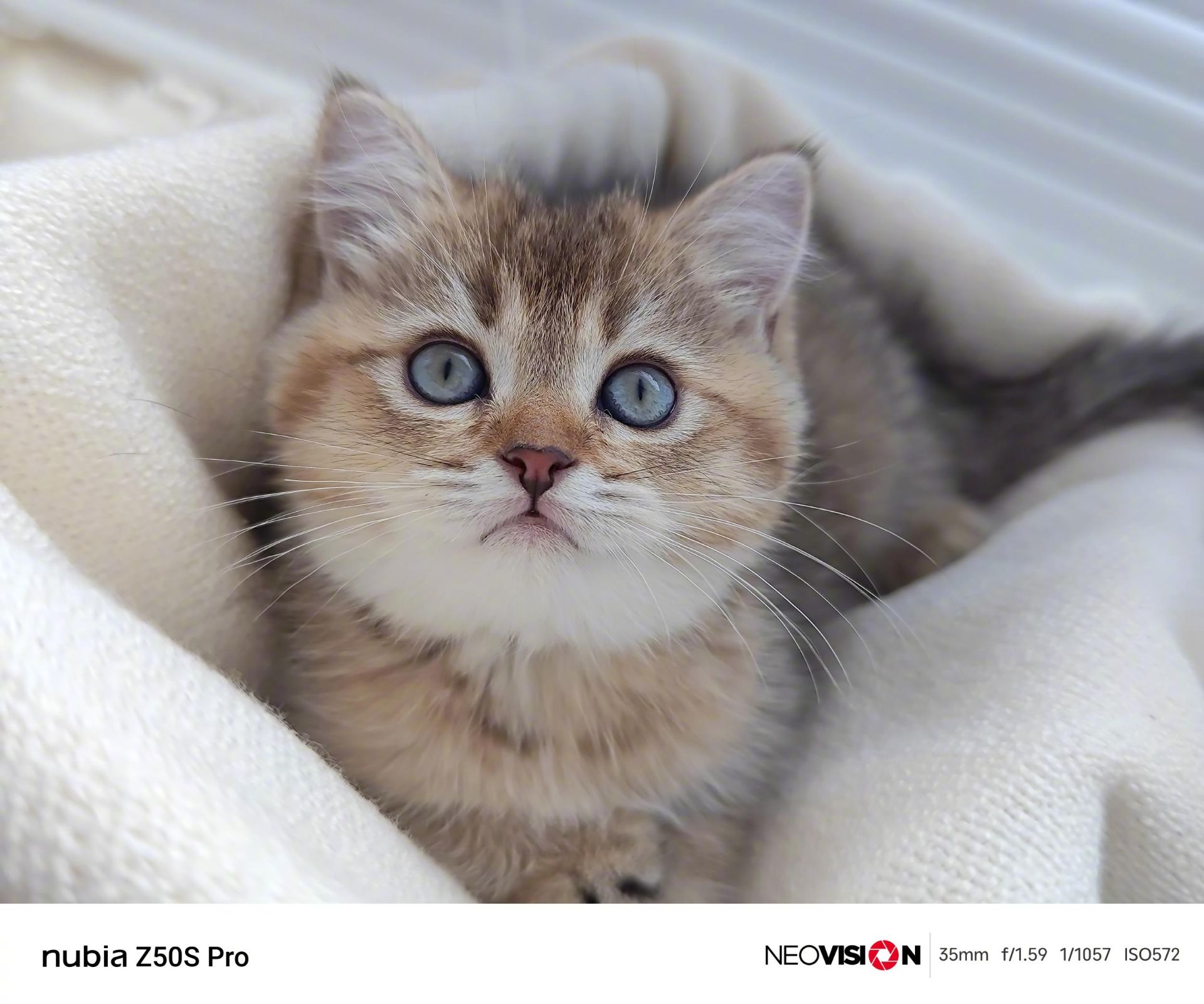 نمونه عکس گرفته شده با دوربین nubia Z50S Pro