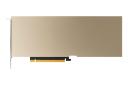 نمای زیر کارت گرافیک انویدیا A10 PCIe با نمایش کانکتور PCIe