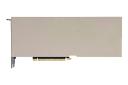 نمای زیر کارت گرافیک انویدیا A100 PCIe نسخه 80 گیگابایت با نمایش کانکتور PCIe
