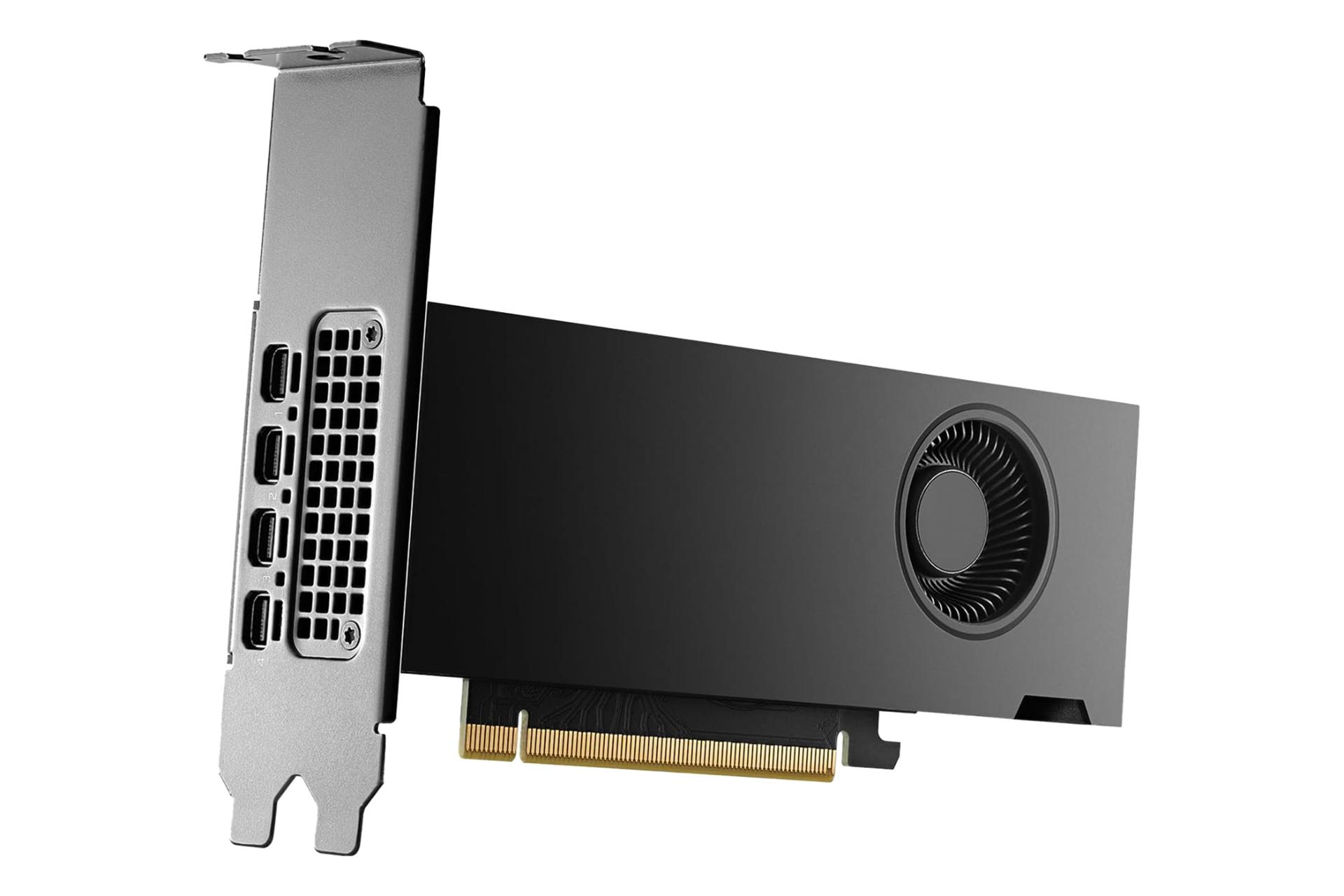 نمای نیمرخ کارت گرافیک انویدیا RTX 2000 Ada Generation با نمایش فن و کانکتور PCIe با براکت عادی