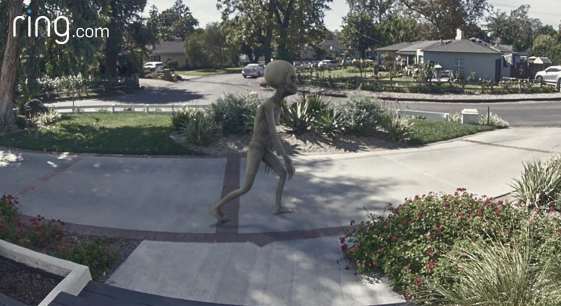 موجود فرازمینی سبز رنگ در حال راه رفتن