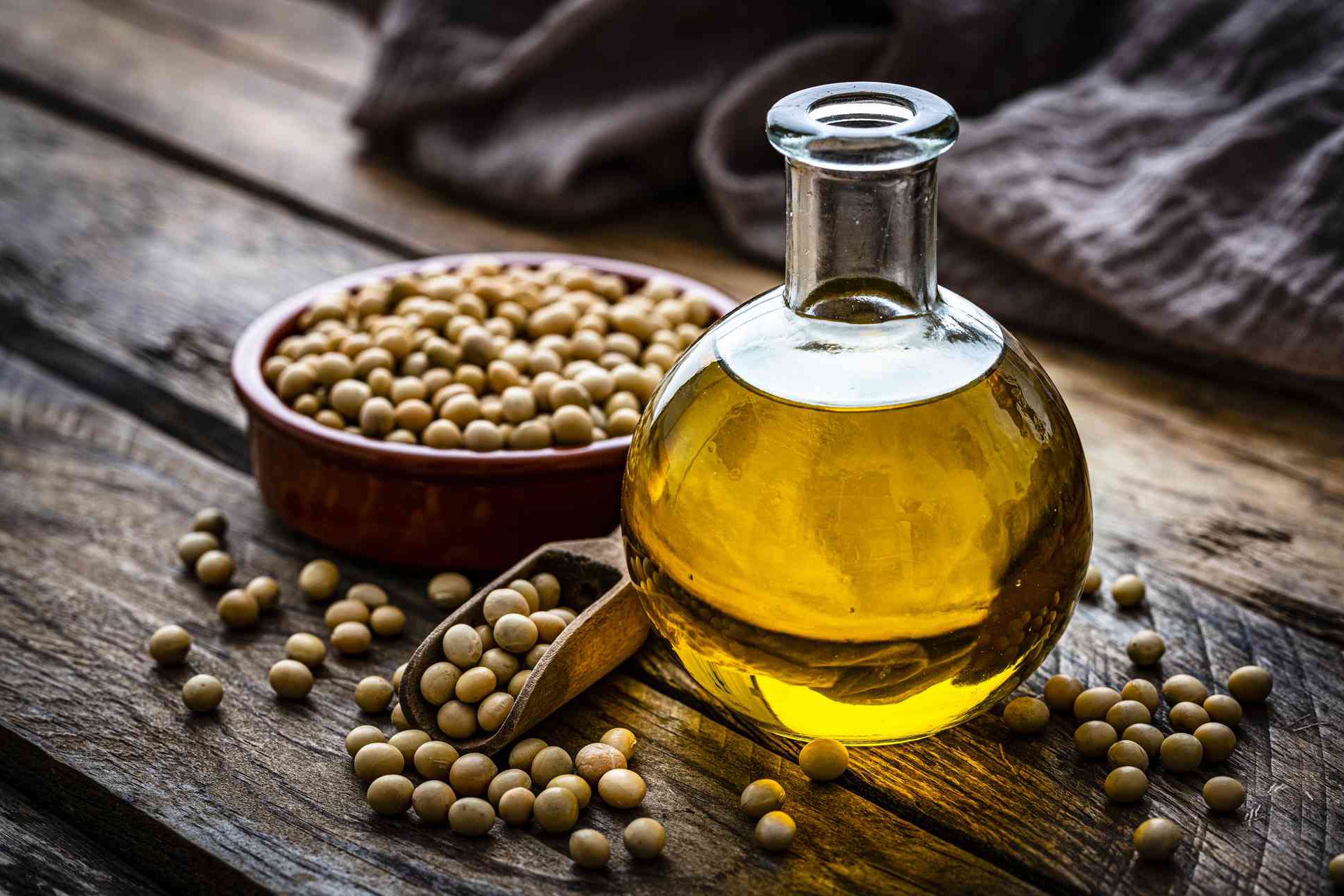 روغن و دانه‌های روغنی