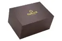 جعبه ساعت مچی زنانه اوماکس Perpetual PL03G65I