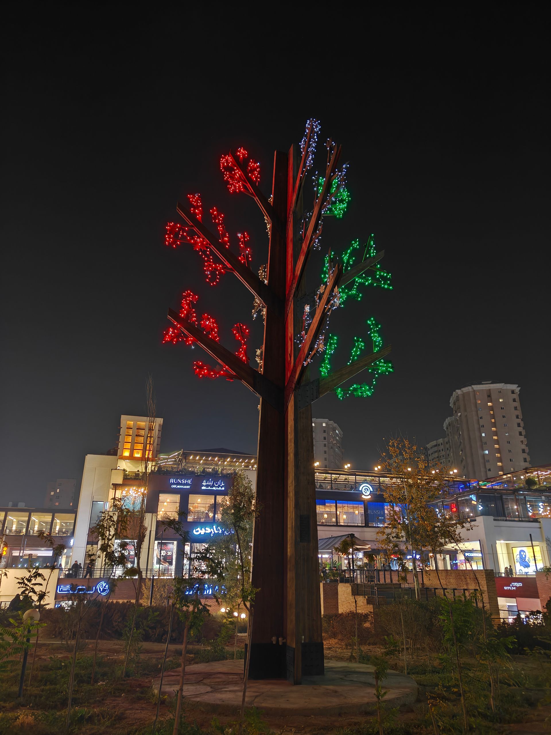 درخت چراغانی شده