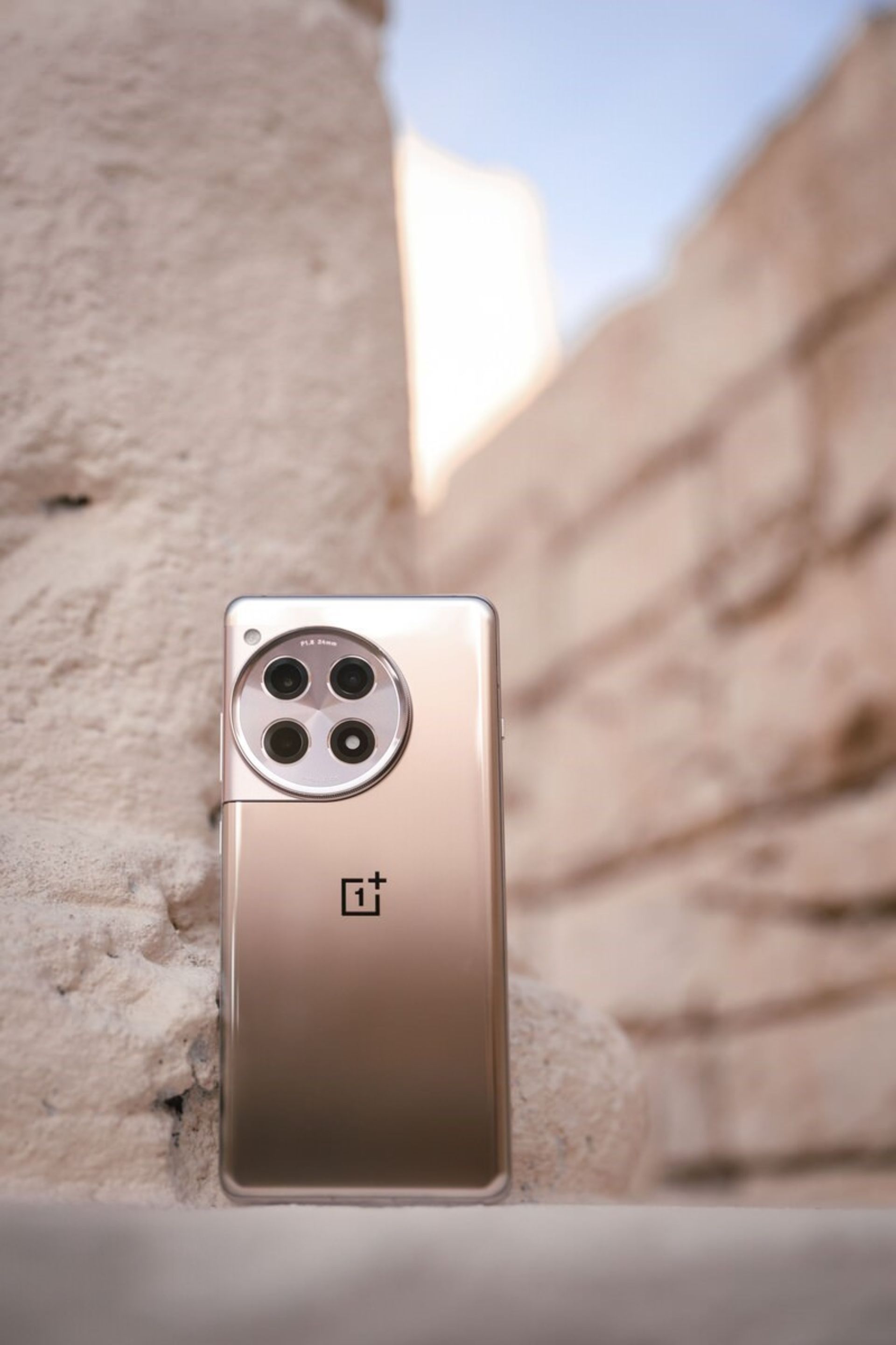 پنل پشتی وان‌ پلاس ایس ۳ طلایی