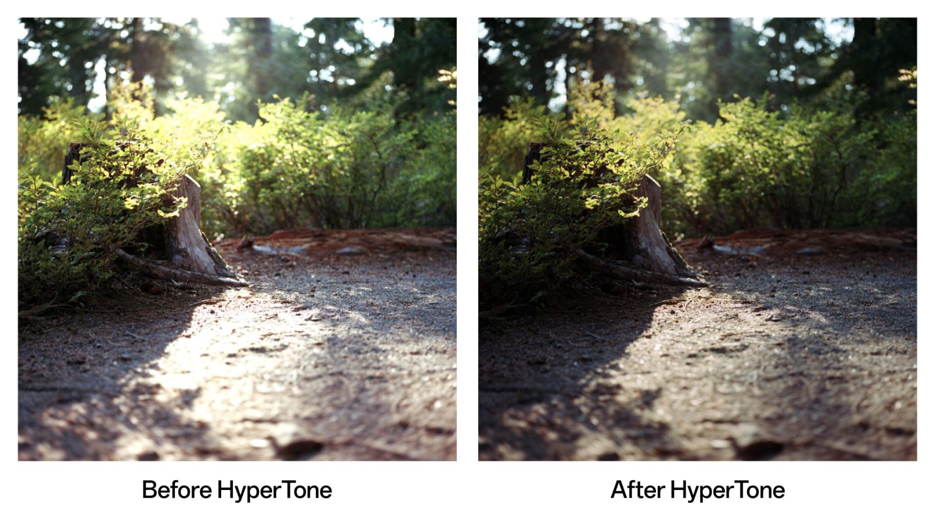 مقایسه‌ی دو تصویر یکسان با استفاده از فناوری Hyper Tone اوپو