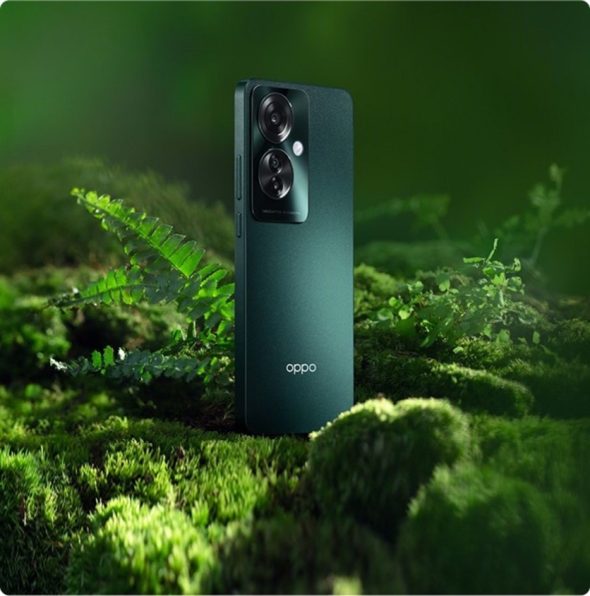 پنل پشتی گوشی اوپو رینو 11F ایستاده در رنگ سبز درون جنگل