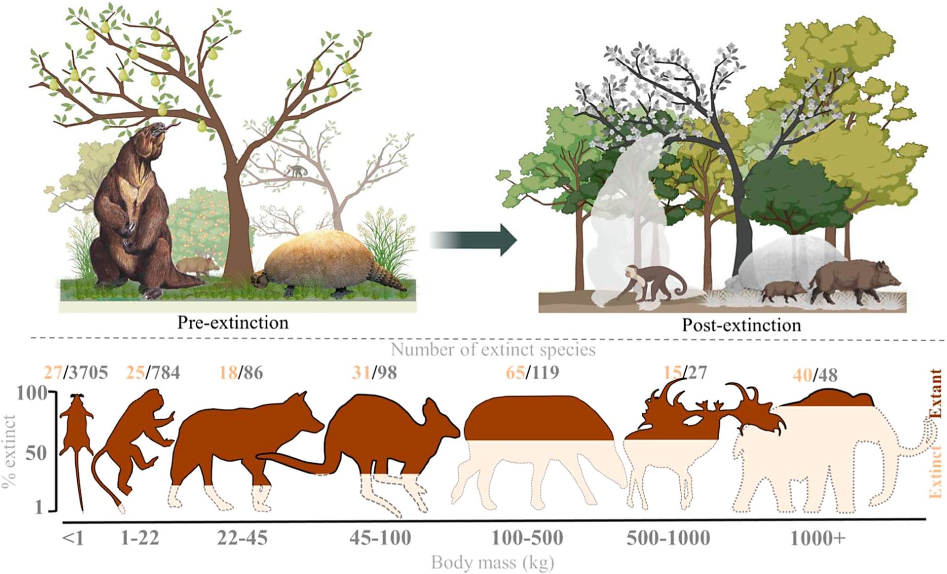 نمودار انقراض بزرگ‌زیاگان و تغییر الگوی پوشش گیاهی