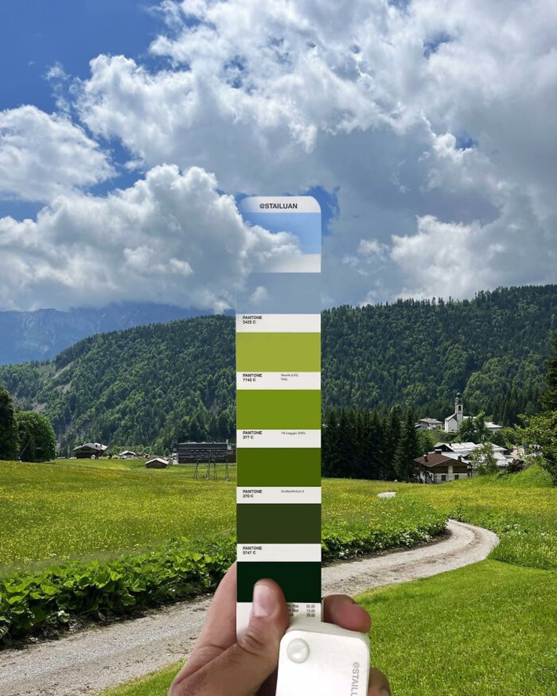 طبیعت و رنگ‌های پنتون جنگل سبز آسمان پر ابر