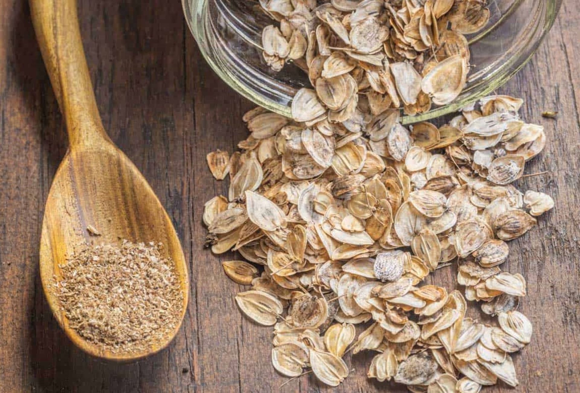 دانه و پودر گیاه گلپر