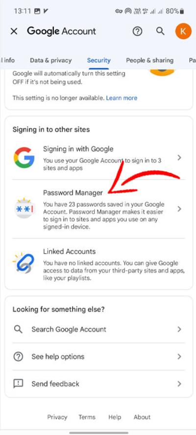 Password Manager option