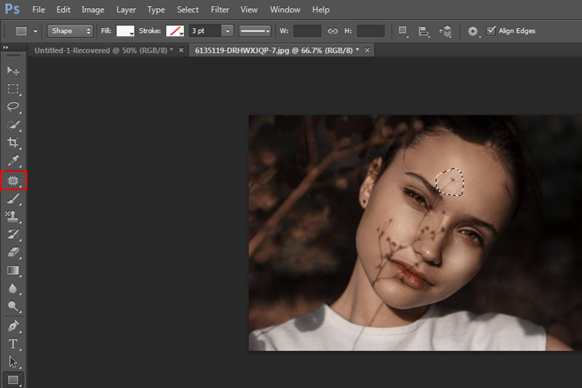 ابزار Patch Tool