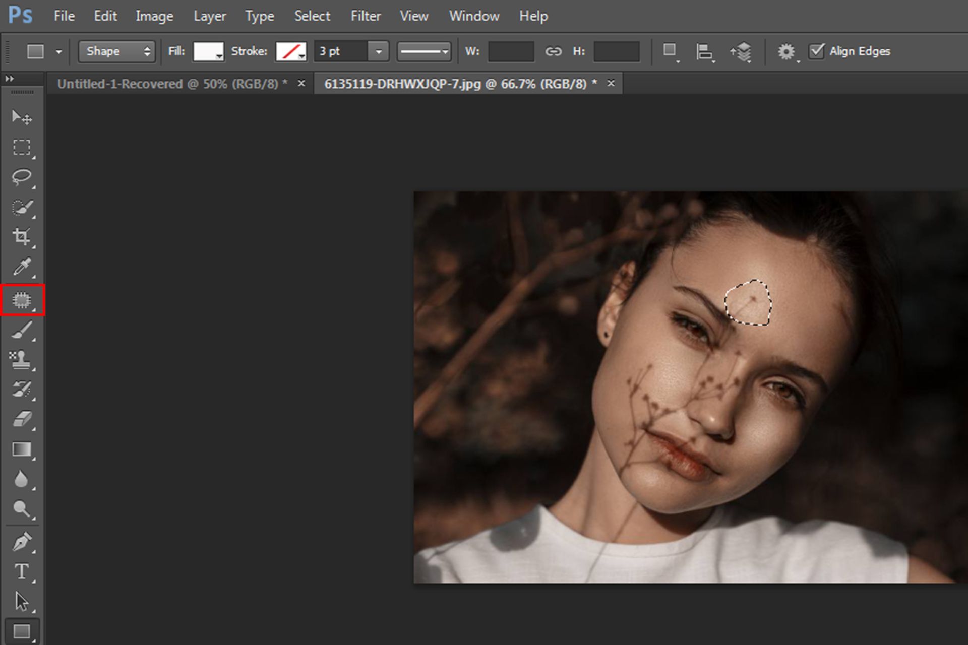 ابزار Patch Tool