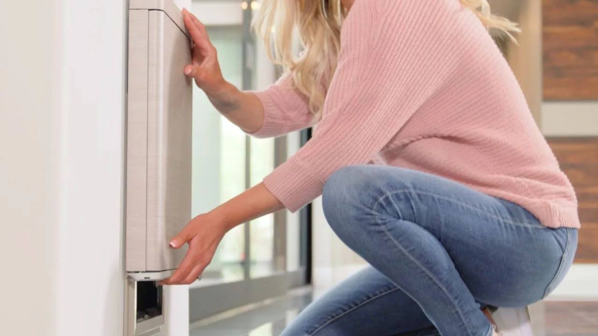 در هوشمند حیوانات خانگی Pawport