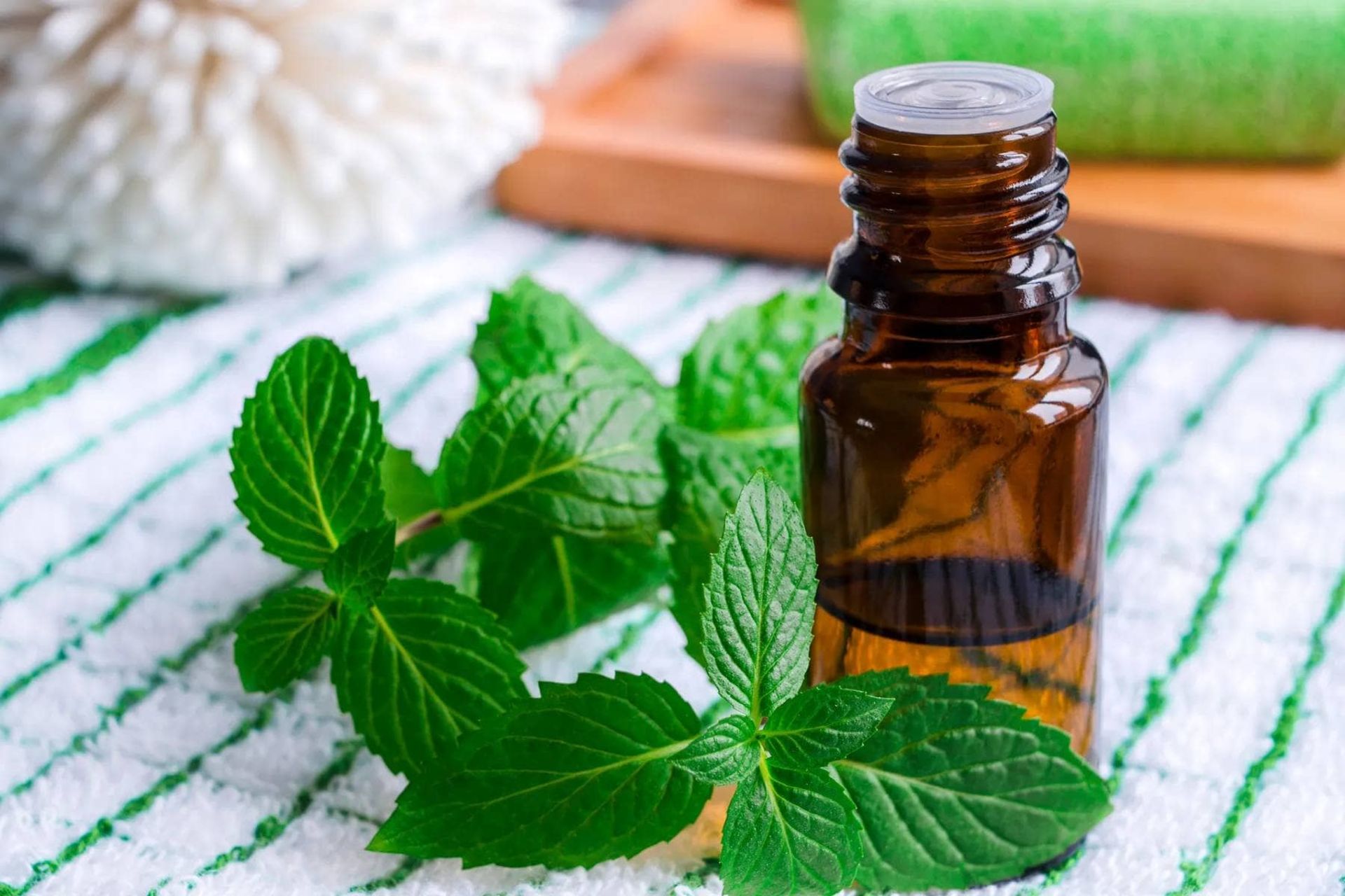 روغن نعناع فلفلی