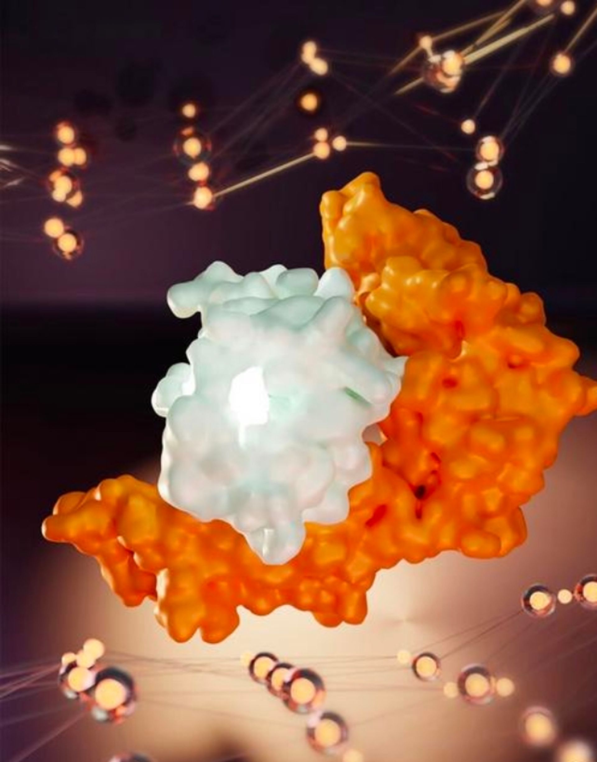 پروتئین SARS-CoV-2