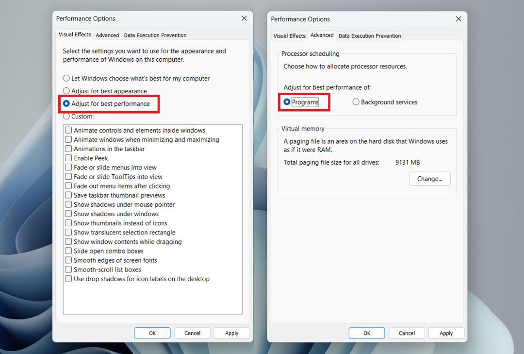 پنجره‌ی Performance Options