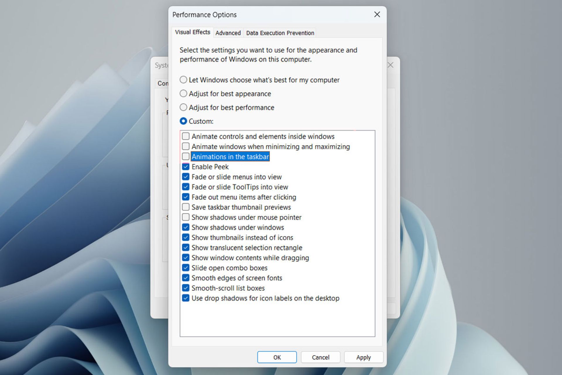 پنجره‌ی Performance Options