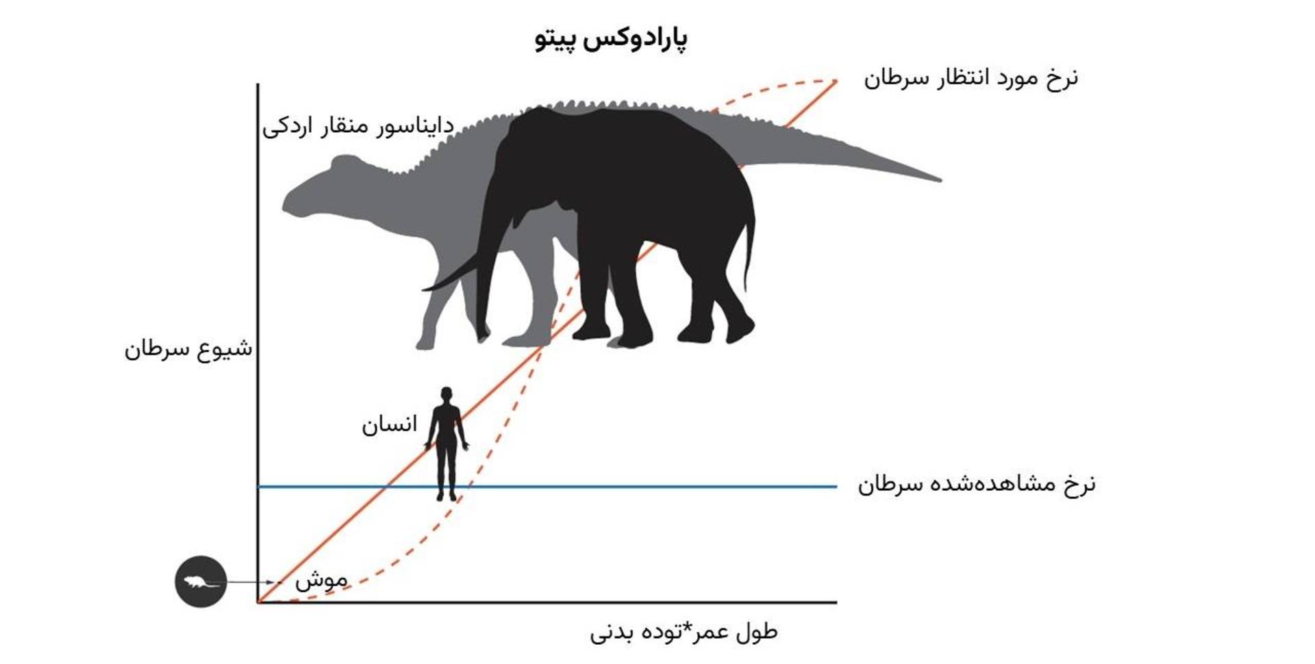 پارادوکس پیتو
