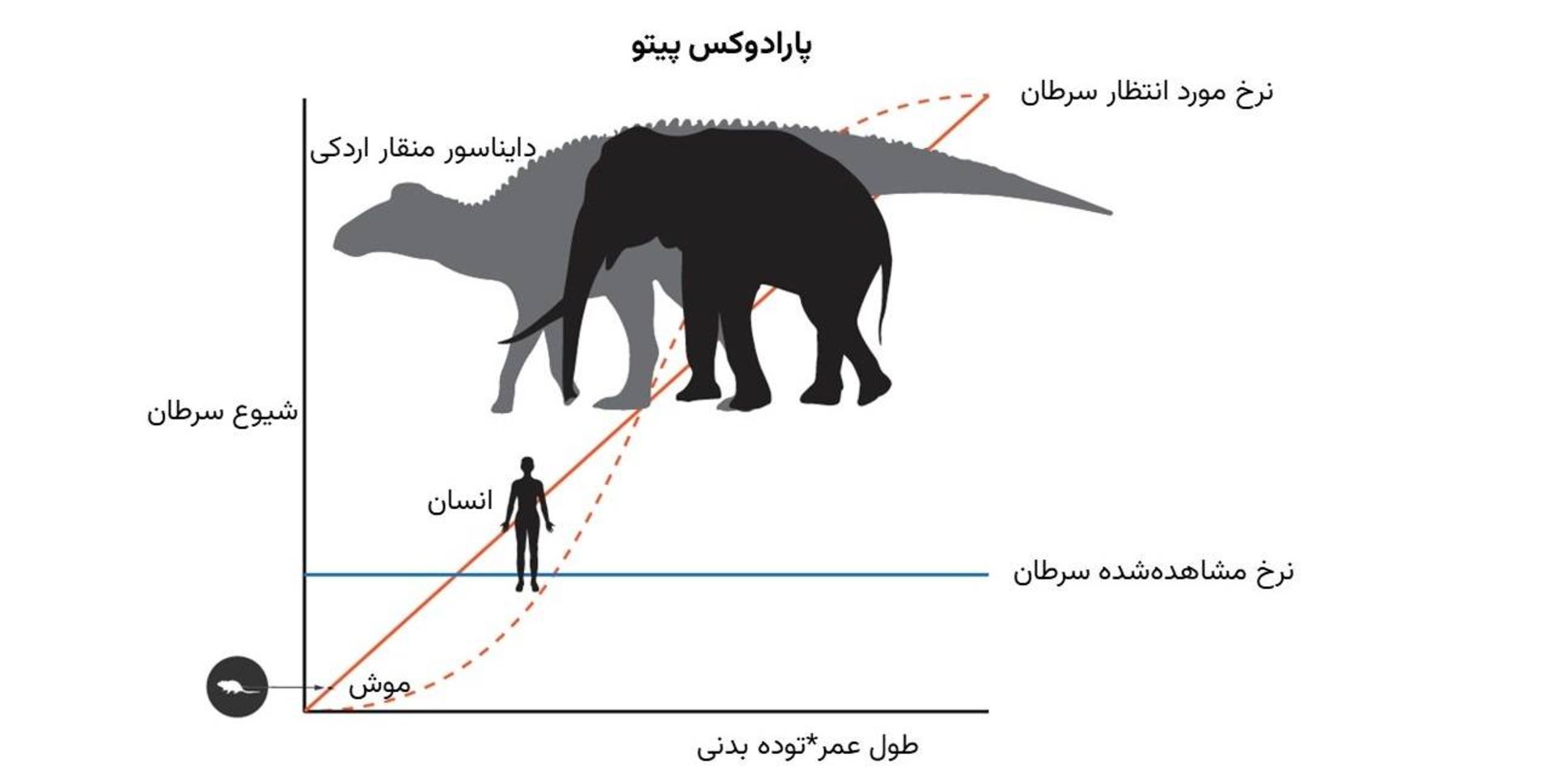 پارادوکس پیتو