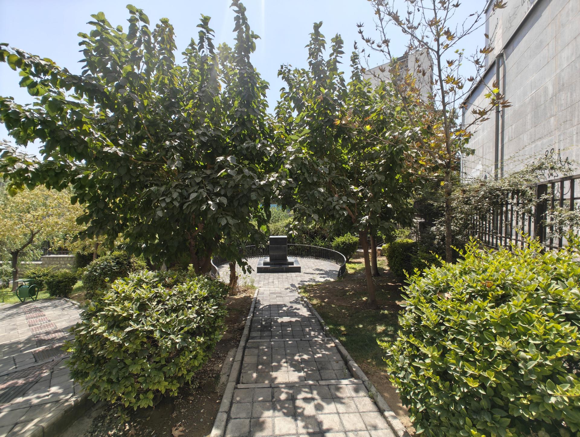 میدان وسط پارک