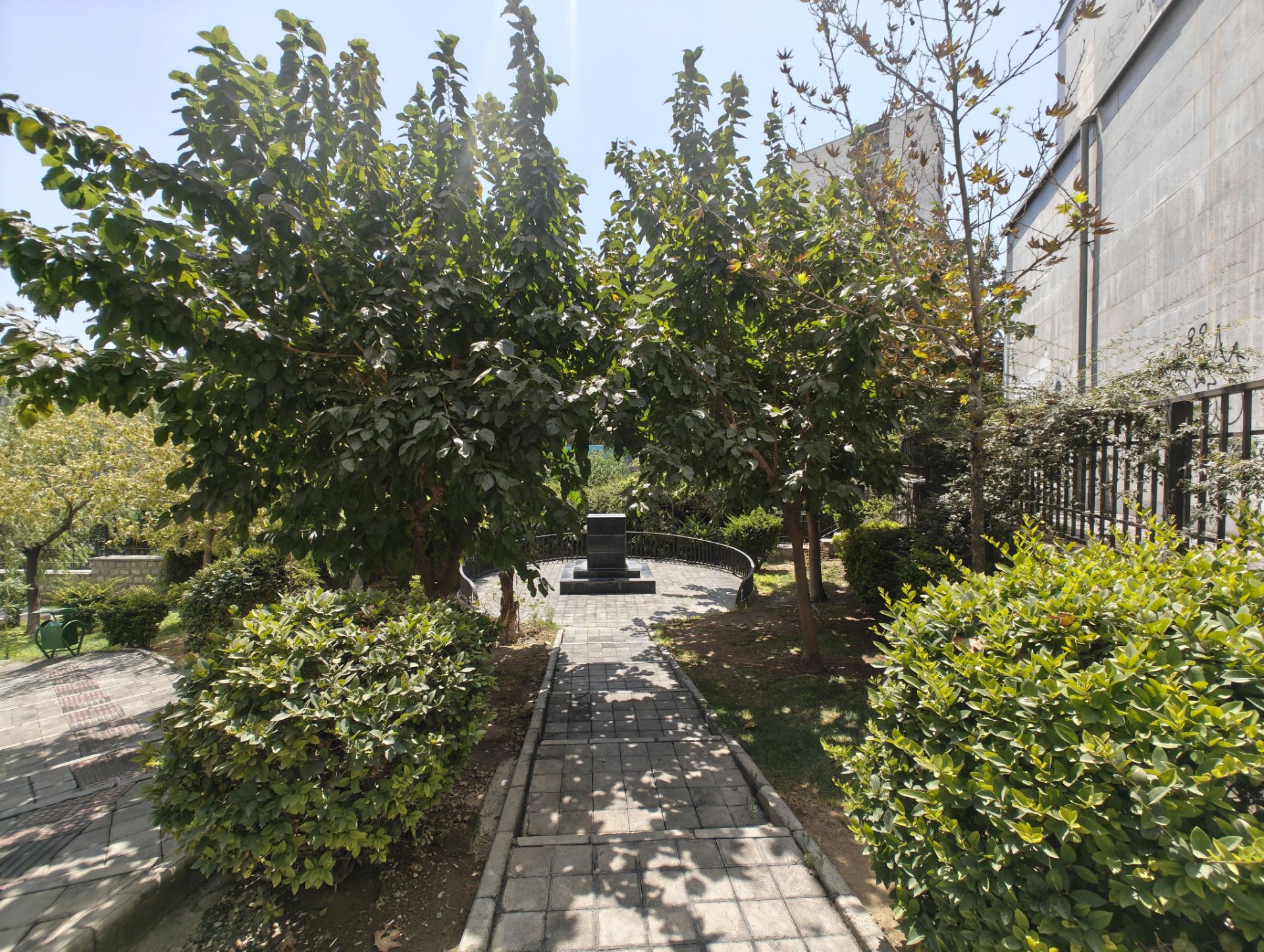 میدان وسط پارک