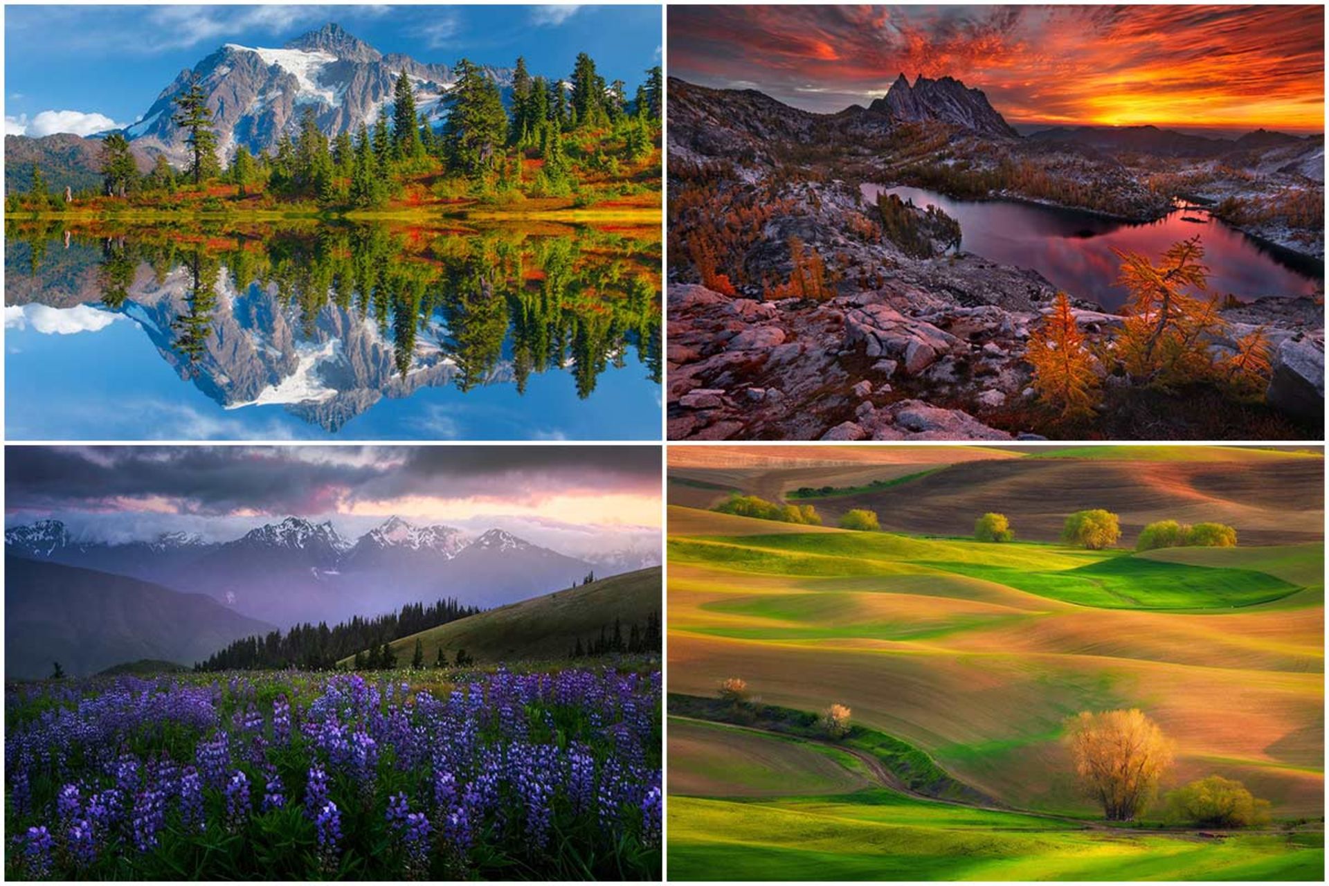 مناظر ایالت واشنگتن