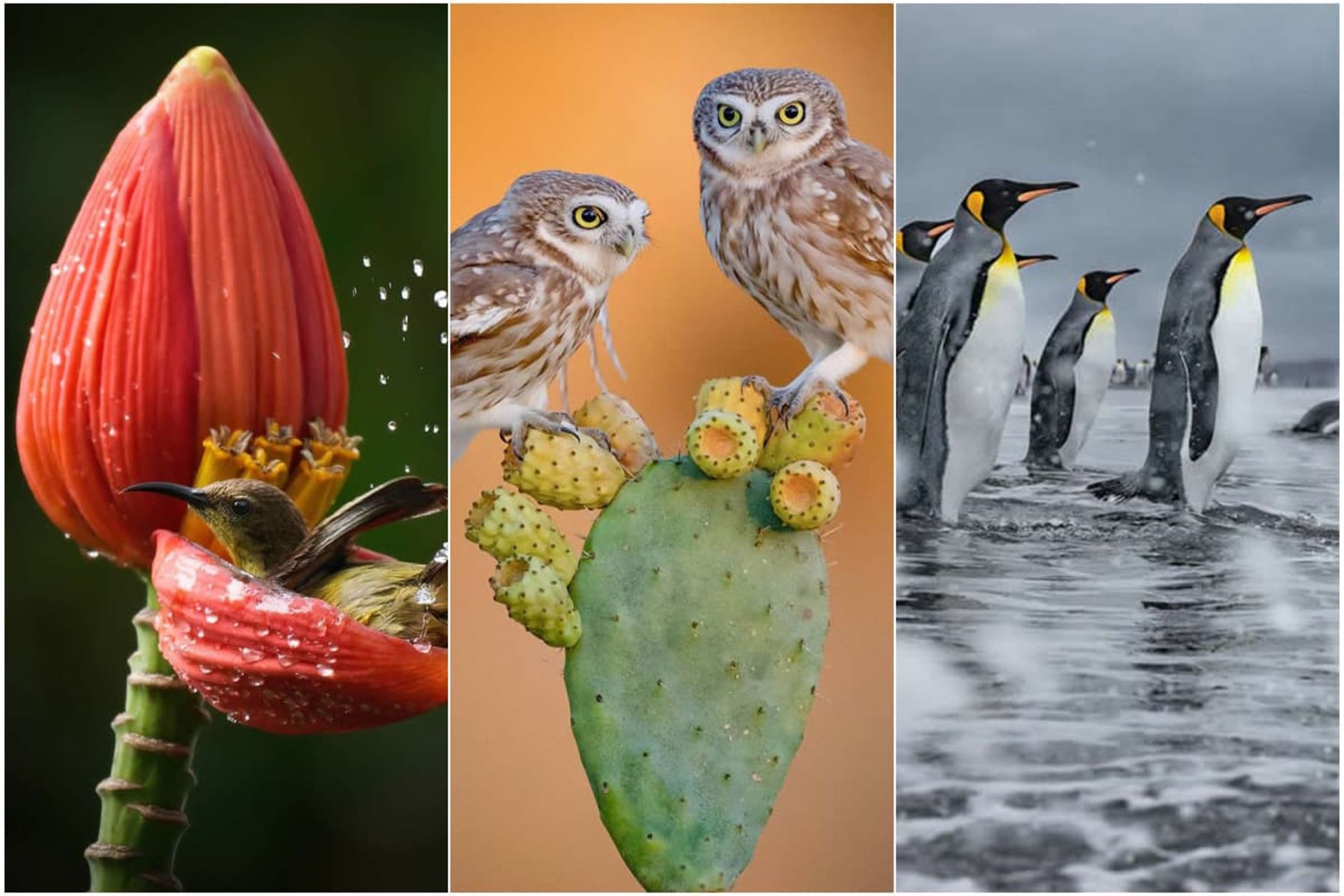 تصاویر مسابقه 35AWARDS