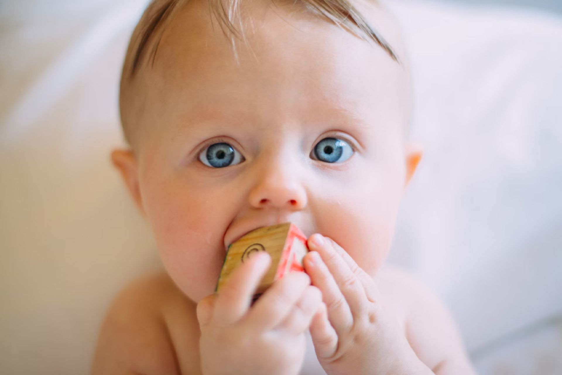 بچه‌ی چند ماهه با چشمان آبی مکعب چوبی را نگه داشته و سعی دارد آن را بجود