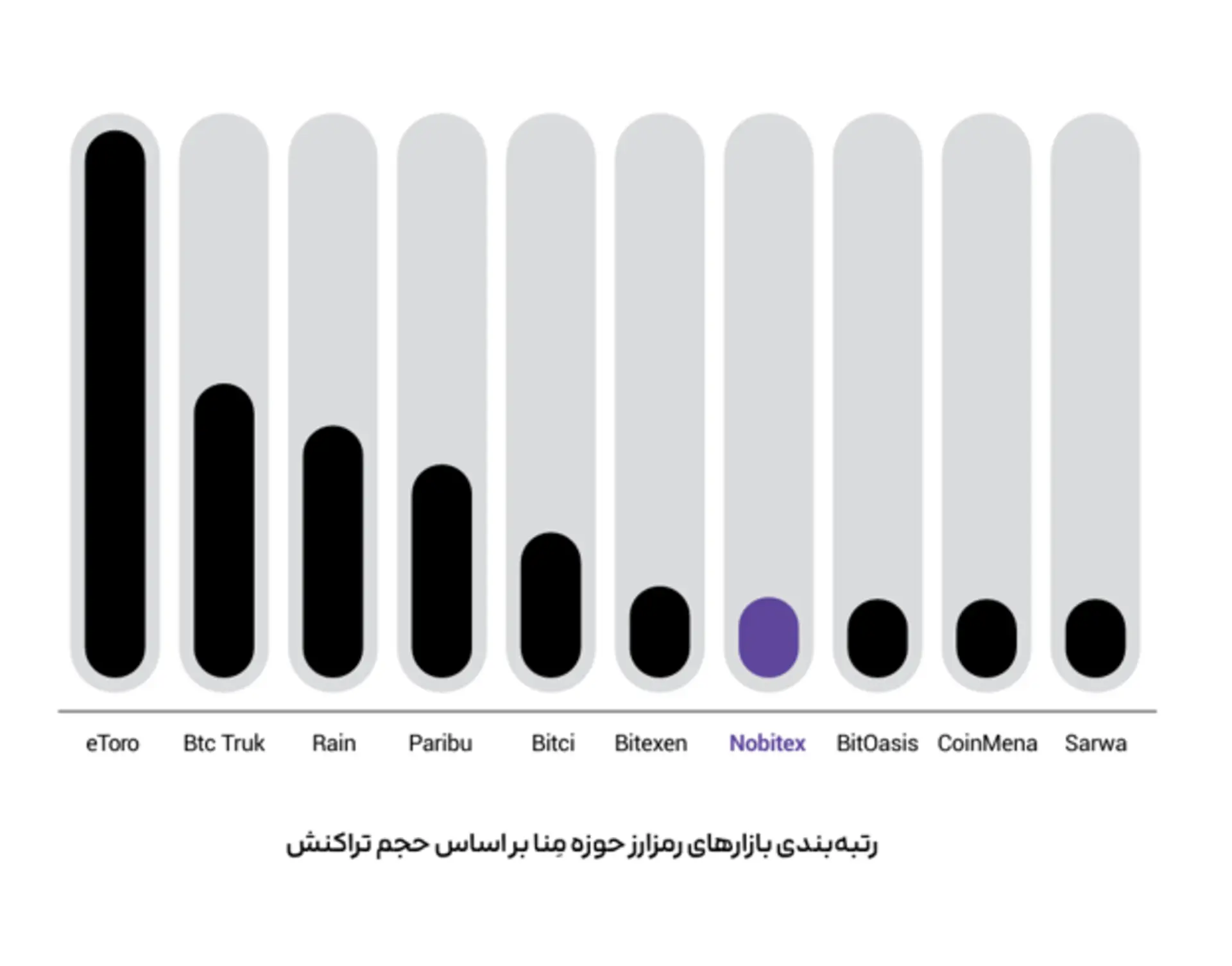 نوبیتکس و جایگاه آن در منا