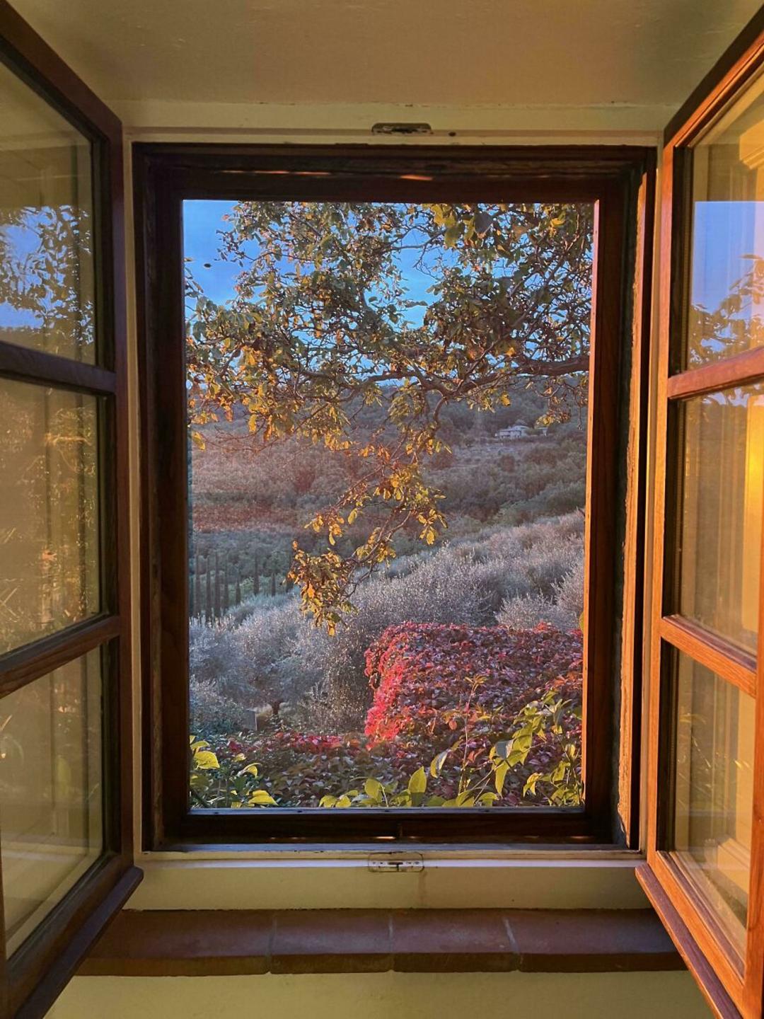 پنجره رو به منظره طبیعی