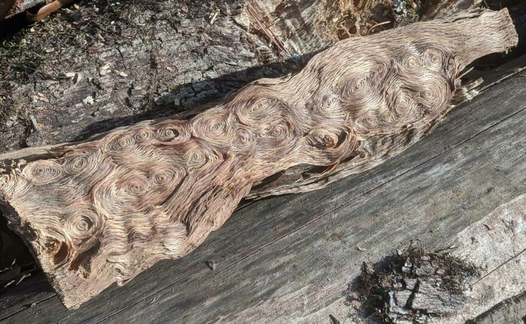 تکه چوب