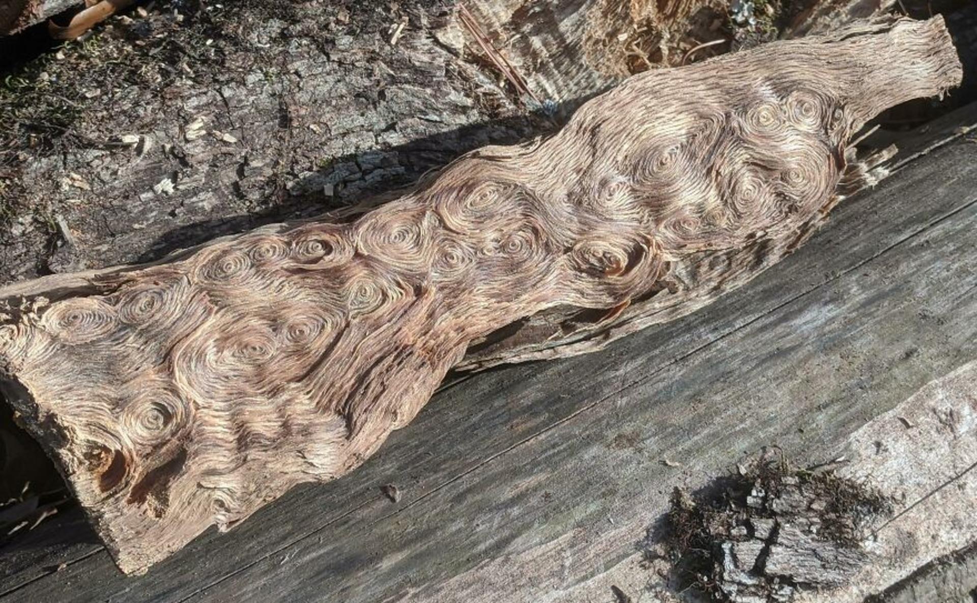 تکه چوب
