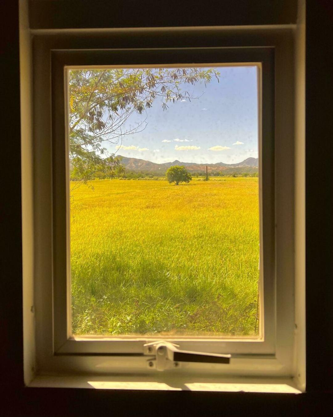 پنجره رو به منظره طبیعی