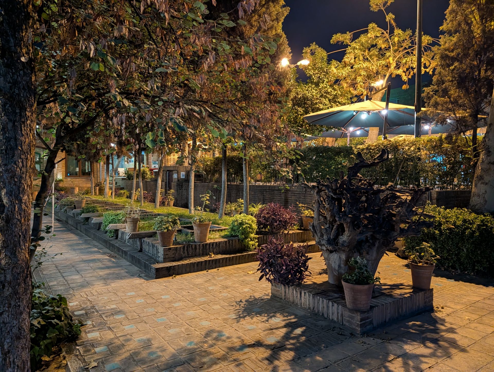 درختان باغ موزه نگارستان 