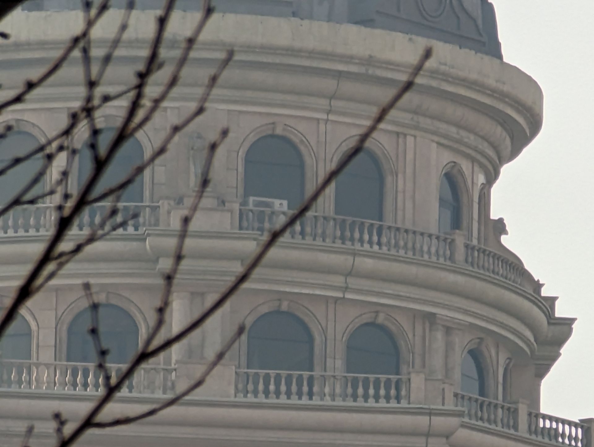 عکس ۳۰ برابری پیکسل ۷ پرو