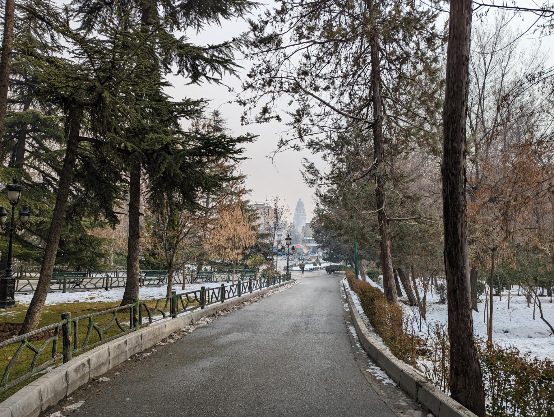 عکس دوربین اصلی پیکسل ۷ پرو ۶