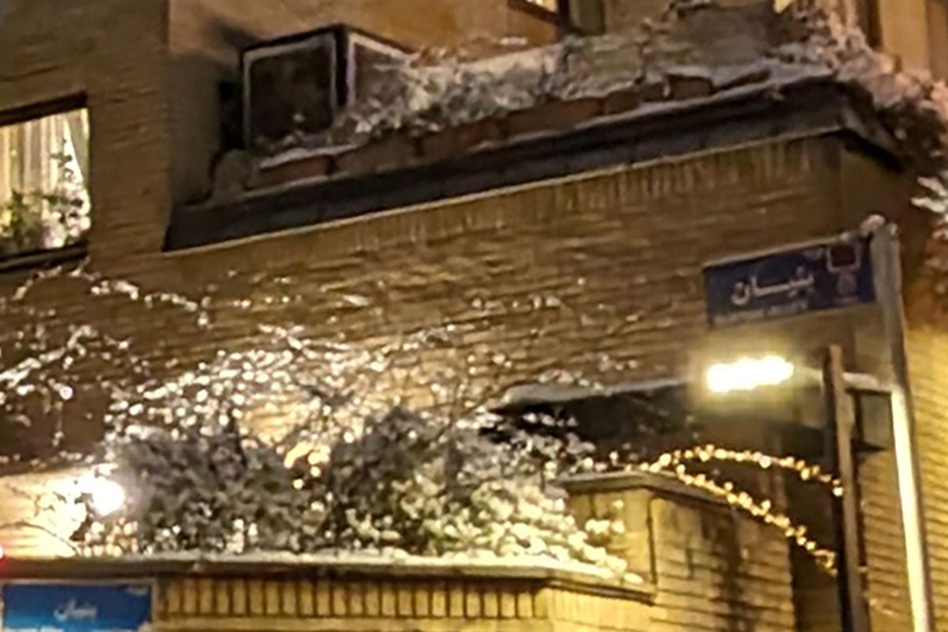 نمایی از دیوار آجری و شاخه درختان