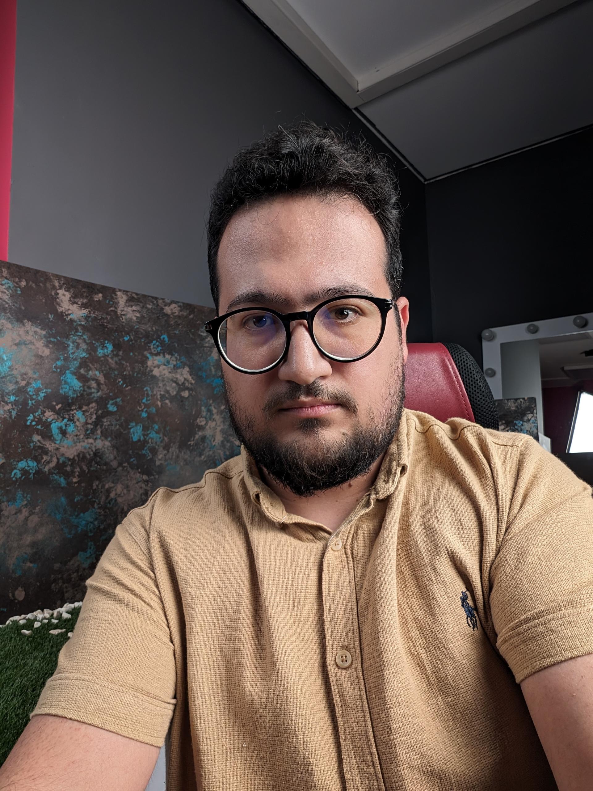 نمونه عکس پیکسل ۸ پرو - محمد مردانه