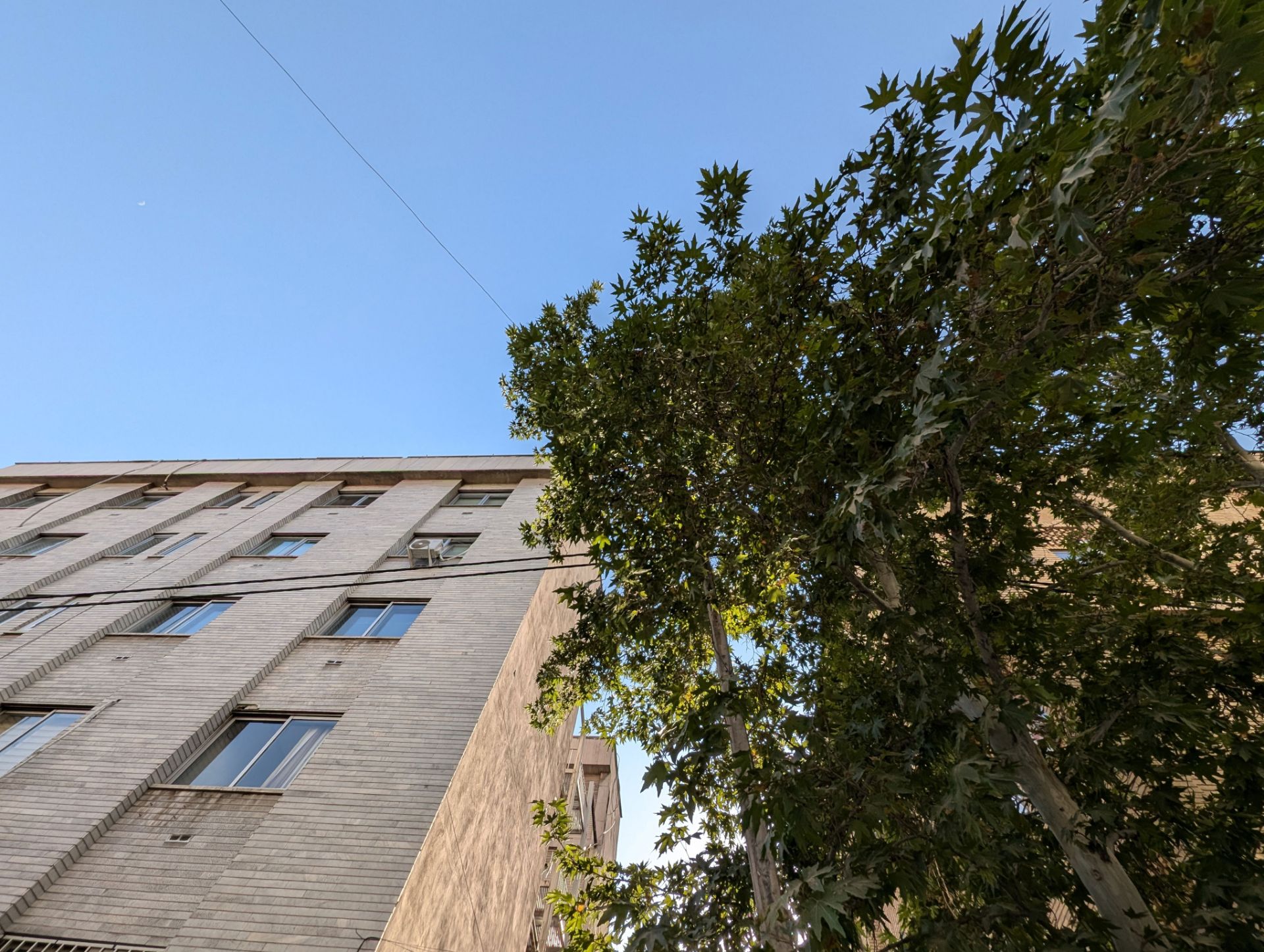 Building and tree from the bottom view